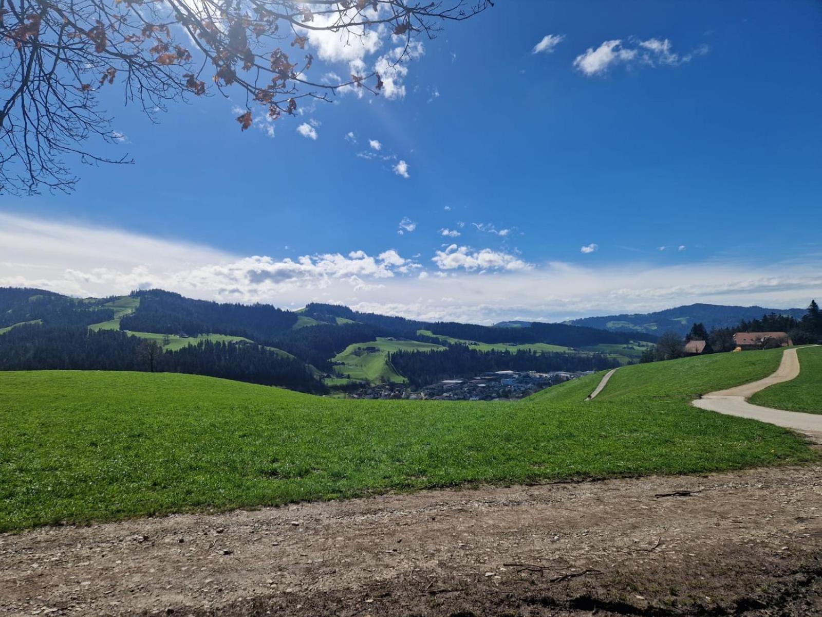 ラングナウEmmental Ferienアパートメント エクステリア 写真
